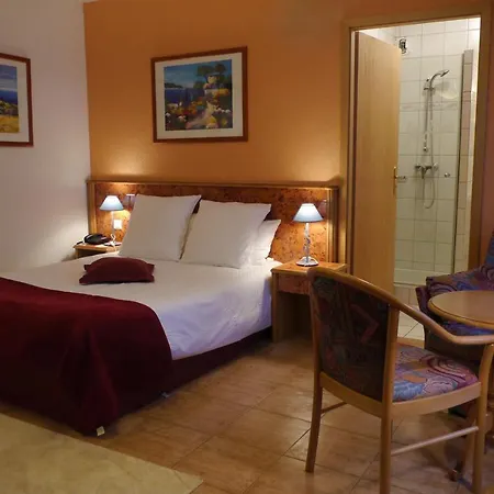 Hotel Sud Alsace